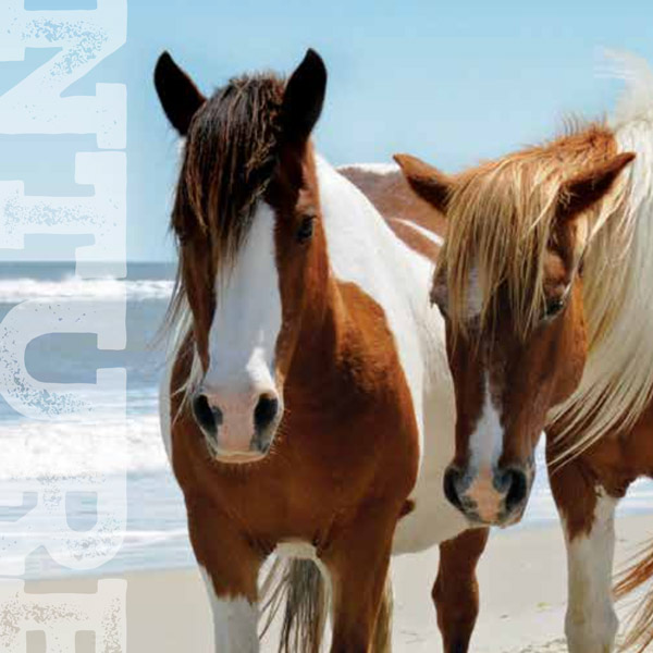 printed tour book layout